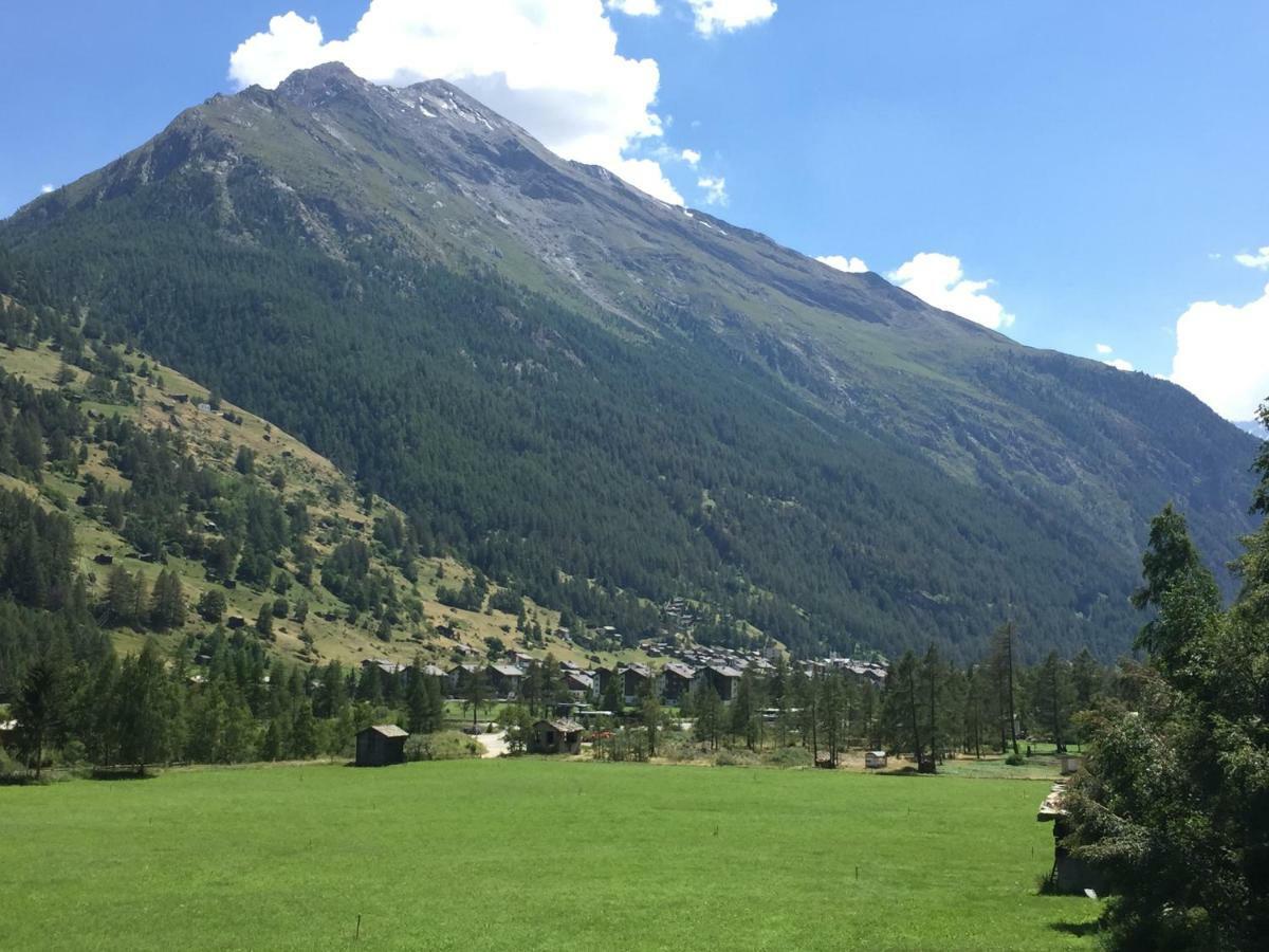 Aparthotel Monte Rosa D 412 Täsch Exterior foto